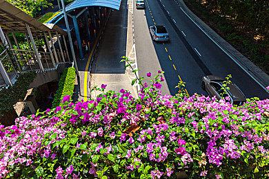 《星际：异端先知》争议不断 尼尔称将坚持己见